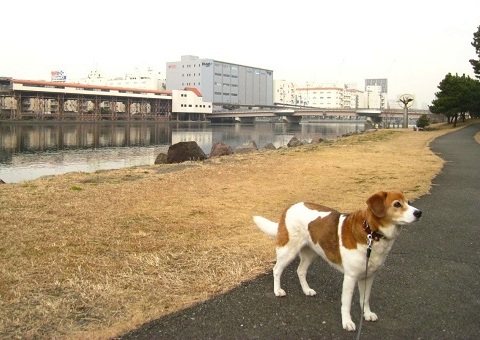 c0084117_20255020.jpg