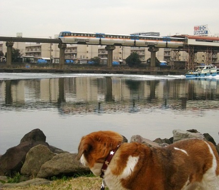 c0084117_20275054.jpg