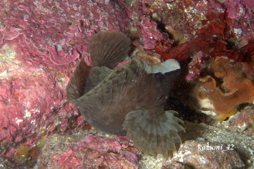 b0164920_2113839.jpg