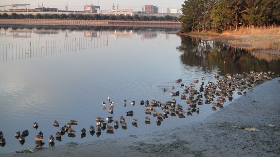 f0000521_18514039.jpg
