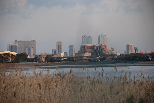 f0000521_1902355.jpg