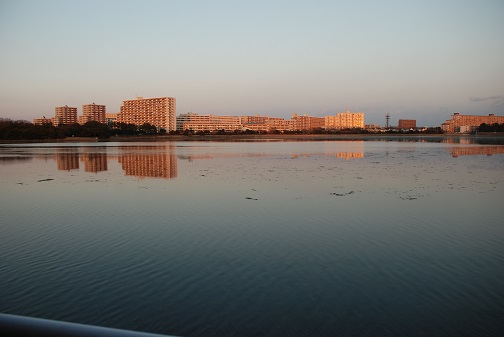 f0000521_1951329.jpg