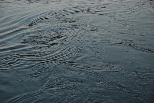 f0000521_1973131.jpg