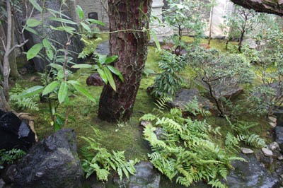b0199526_10593877.jpg