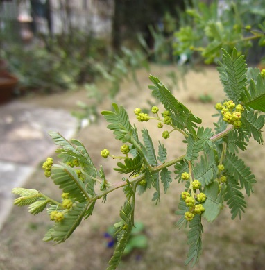 f0002833_023244.jpg