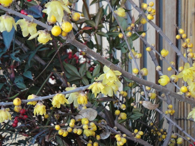 f0208737_8274634.jpg
