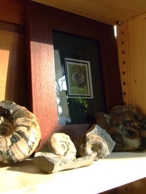 e0290546_12322254.jpg