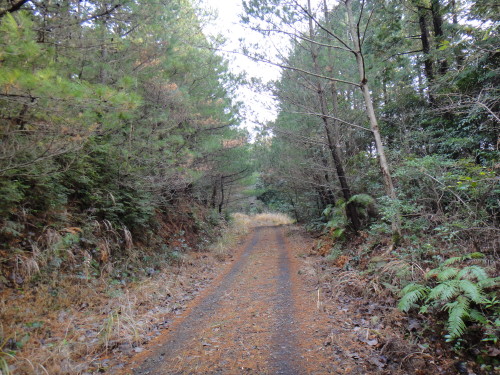 c0179351_20495859.jpg