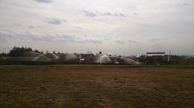 c0042655_217780.jpg