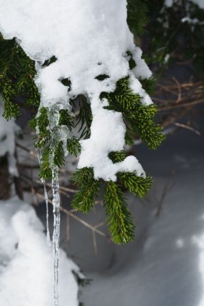e0307372_21265304.jpg