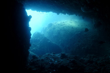 c0039073_2121439.jpg