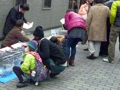 c0268274_1813432.jpg