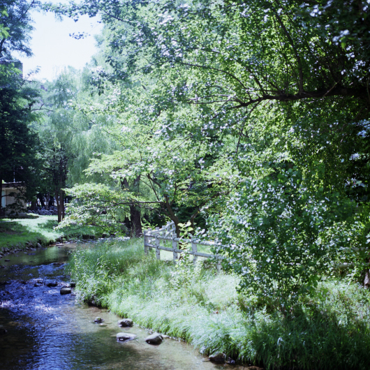 c0160185_2174925.jpg