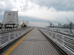 b0192588_10385236.jpg