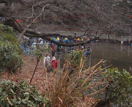 f0234590_936332.png