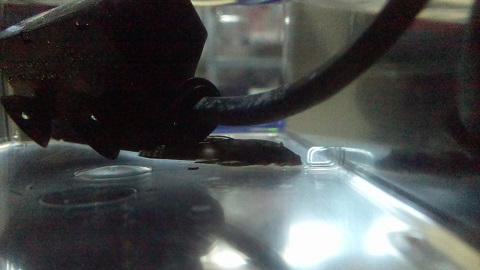 a0291092_21441035.jpg