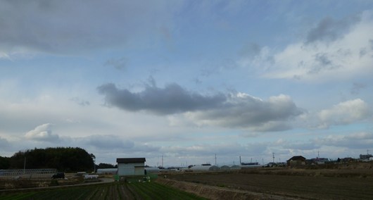 e0135492_187159.jpg