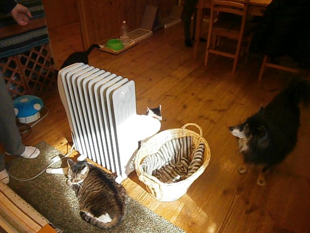 f0130894_2117331.jpg