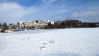 e0122199_1641880.jpg