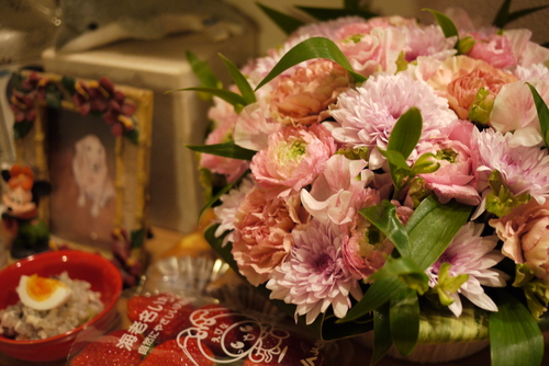c0226701_115933.jpg