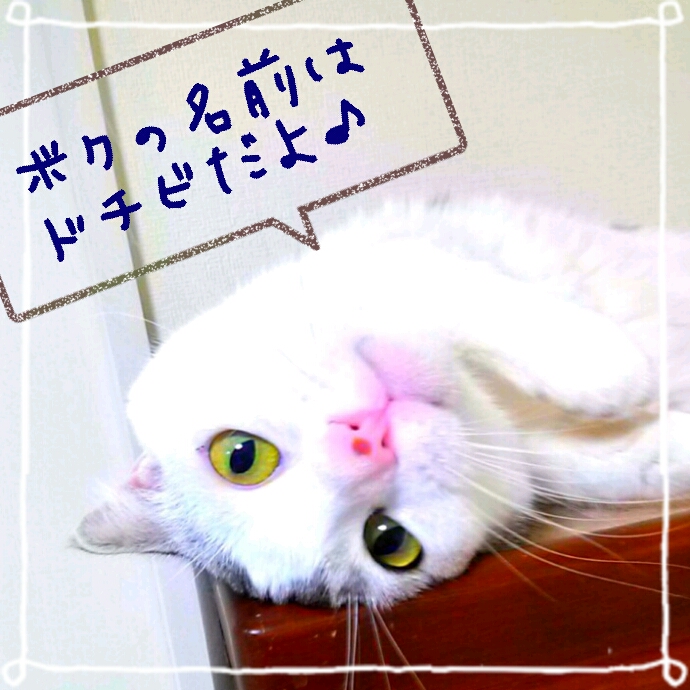 c0237608_13464211.jpg