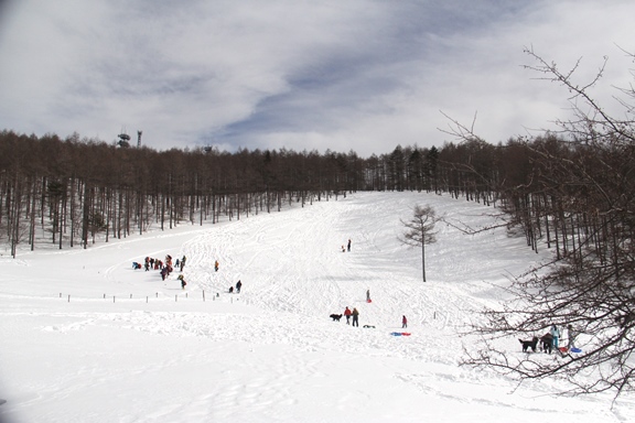 b0207615_22232861.jpg