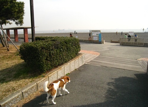 c0084117_21114732.jpg
