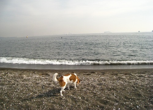 c0084117_21132584.jpg