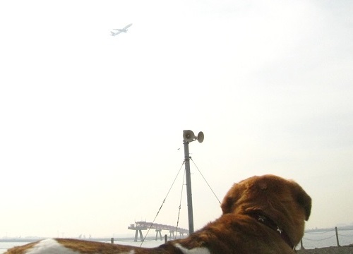 c0084117_21214211.jpg
