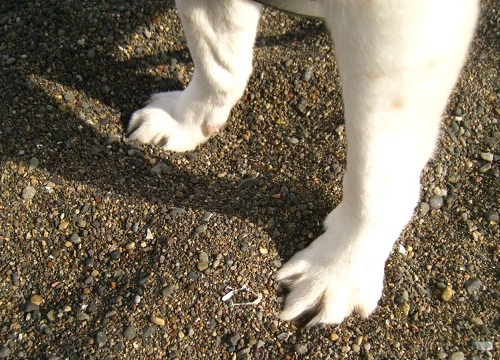 c0084117_2128505.jpg