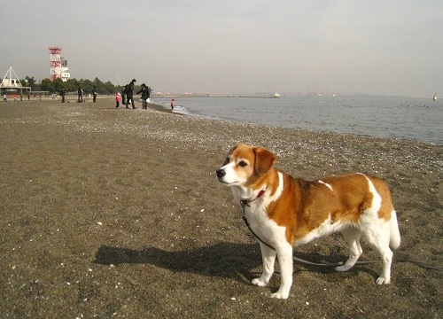 c0084117_2131116.jpg