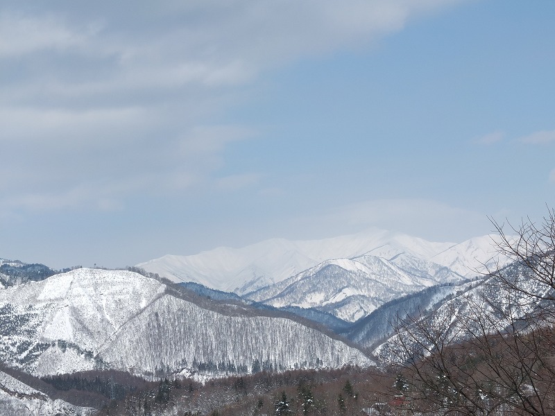 e0200529_14383547.jpg