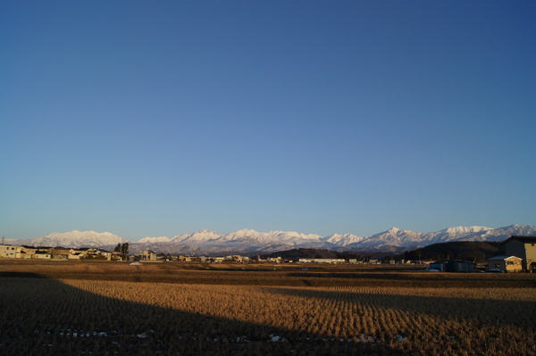 a0119132_1753265.jpg