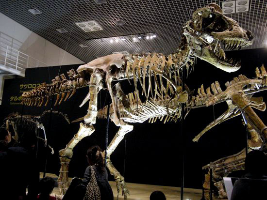 e0247832_0124791.jpg