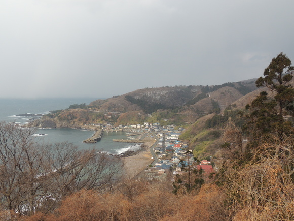 f0118332_15621.jpg