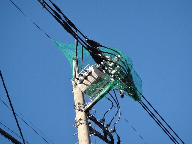 f0208737_8264192.jpg