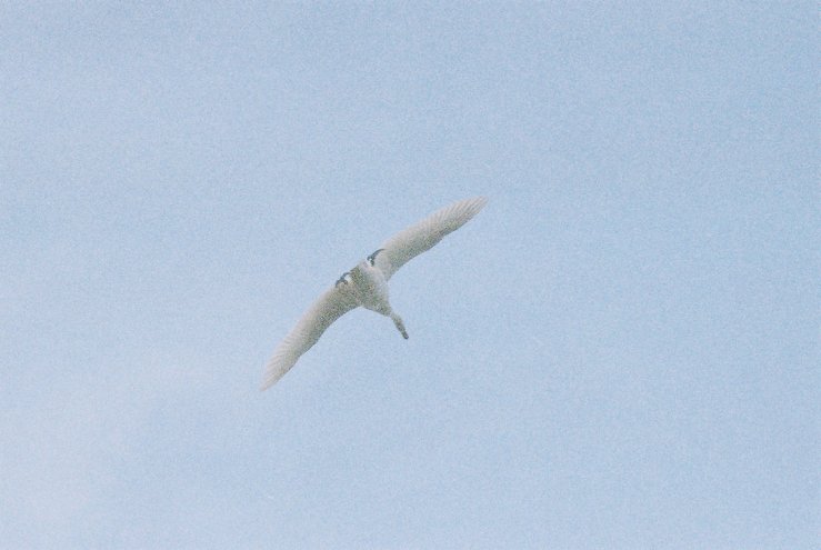 a0238739_21103780.jpg