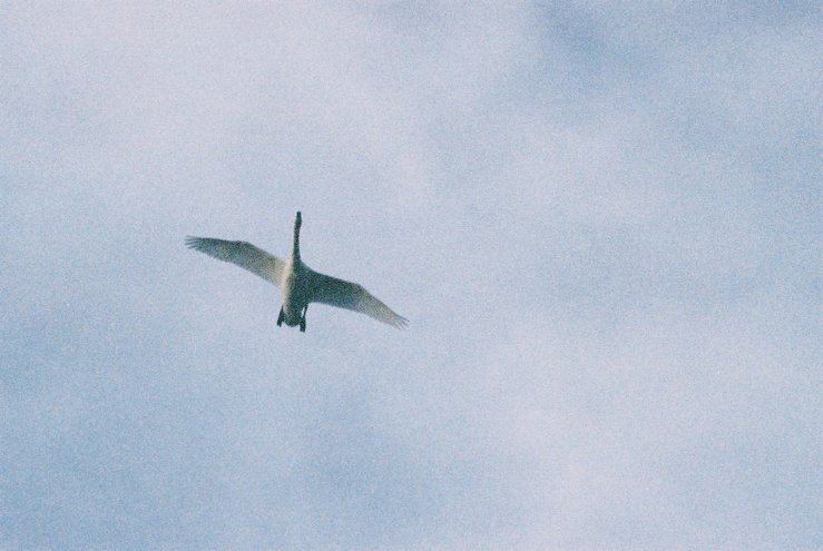 a0238739_2175532.jpg