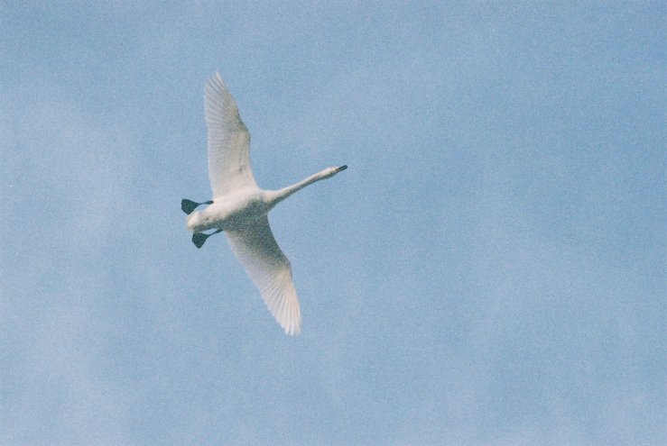 a0238739_2182499.jpg