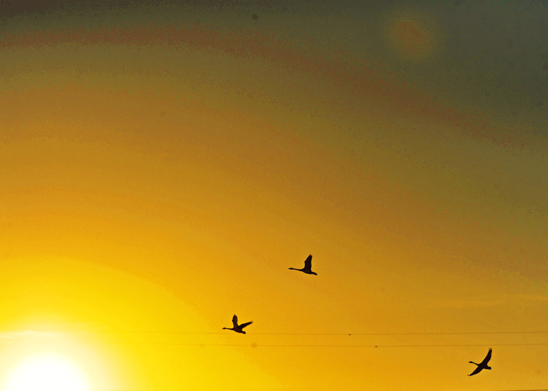 d0290240_9182569.gif