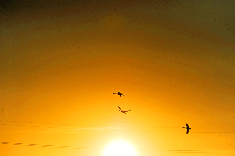 d0290240_9183738.gif
