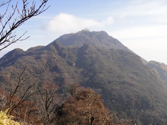 e0164643_14571248.jpg