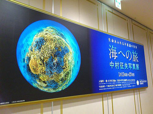 f0094843_20282540.jpg