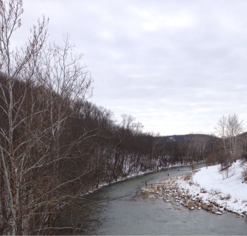 c0325354_12385517.jpg