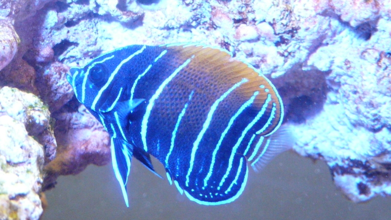 d0325056_20505457.jpg