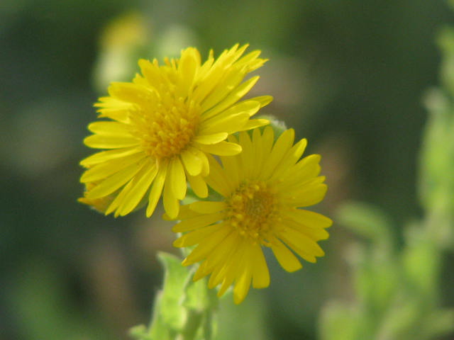 b0161073_18384930.jpg