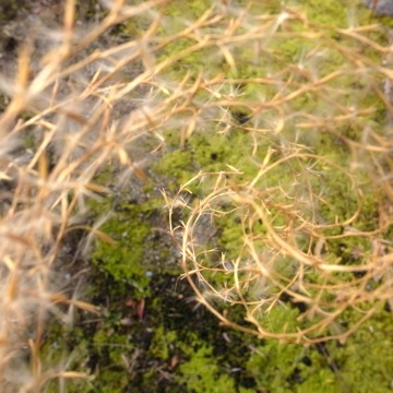 c0108673_22132634.jpg