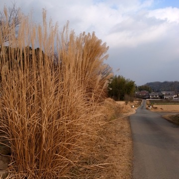 c0108673_222543.jpg