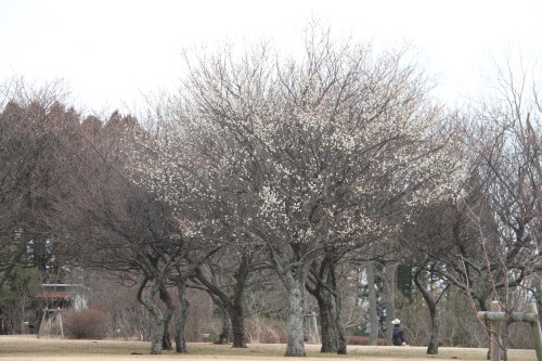 e0114977_20513060.jpg