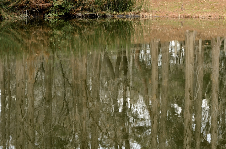 f0108478_20472557.jpg